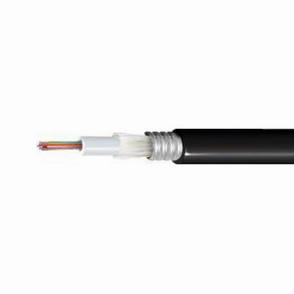 Belden GOCND06 Cable
